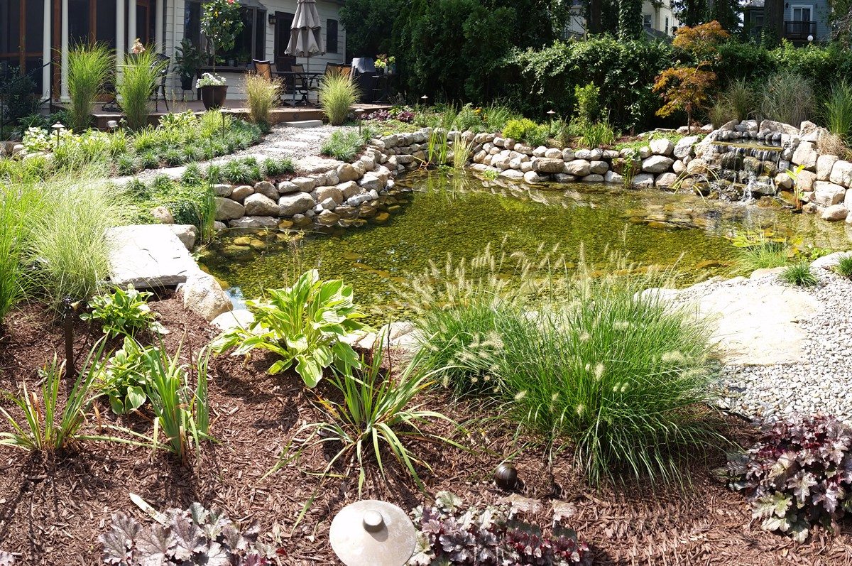 Backyard Pond Landscape Solutions