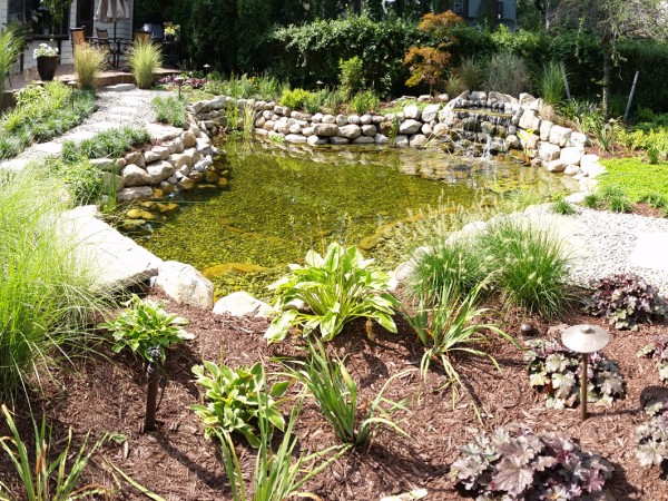 Landscape Design - Landscape Solutions