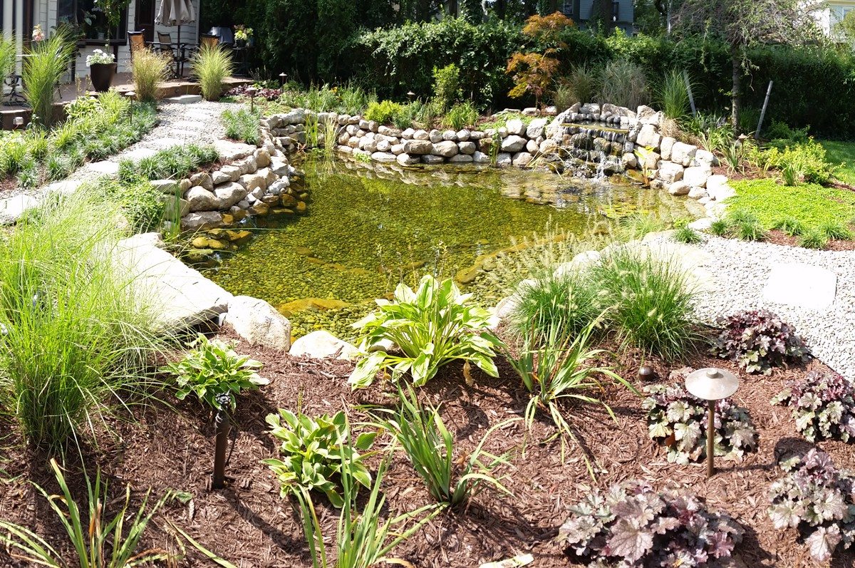 Backyard Pond Landscape Solutions