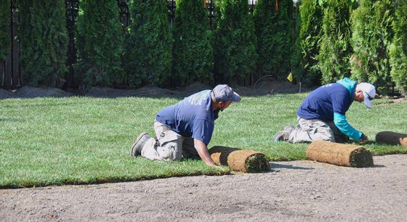 Two employees from Landscape Solutions collaborate to install fresh rolls of grass as part of an ongoing sod installation project