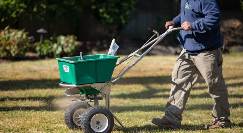 A man is using a green spreader to apply fertilizer over a lawn