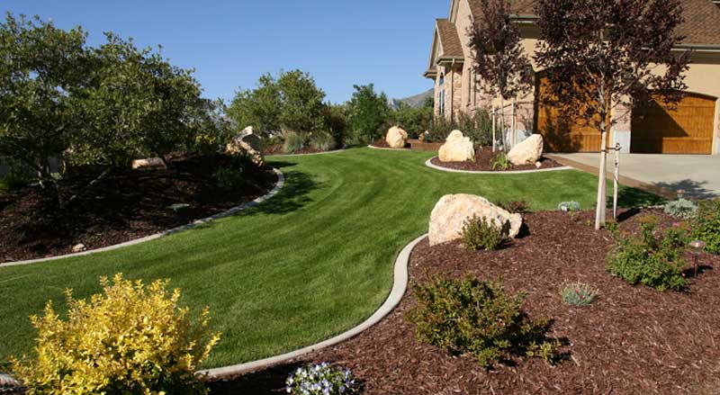 Curved garden beds with clean mulch application and vibrant shrubs set against a green lawn, offering a polished and well-maintained appearance