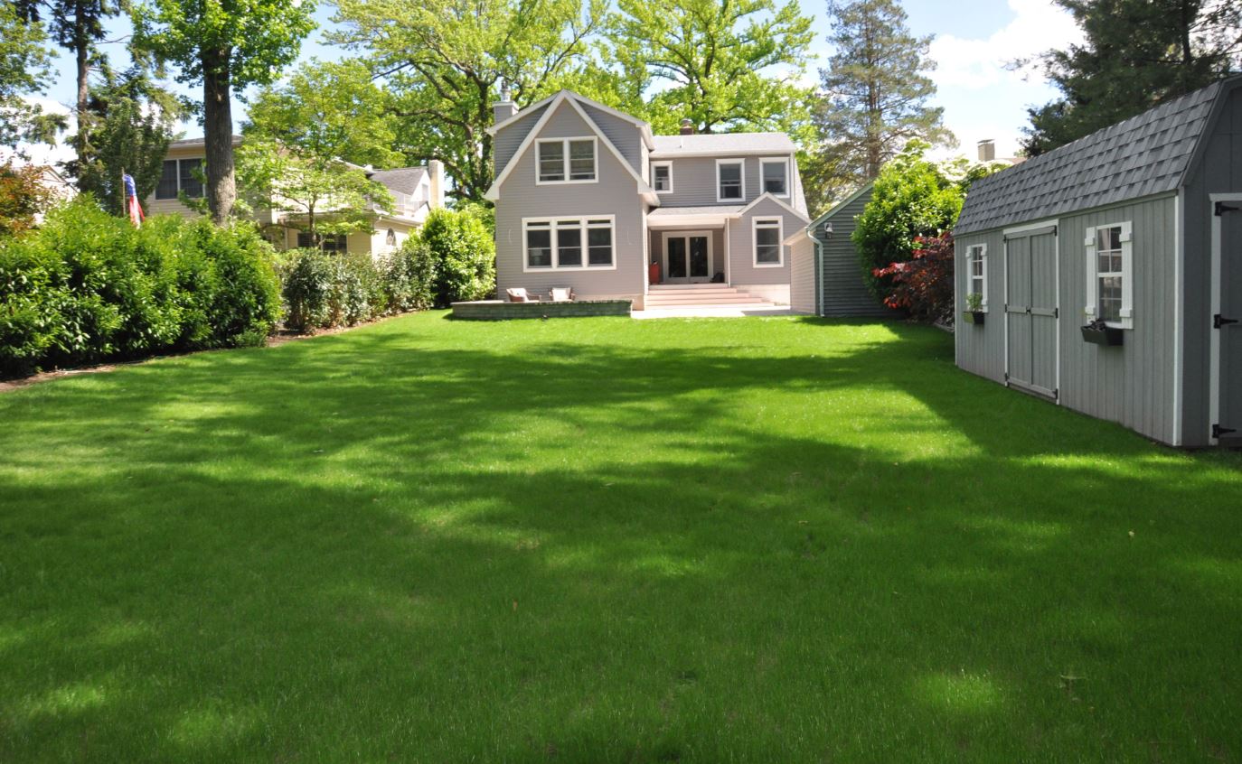 Beautiful Turf Lawn in Essex County, NJ
