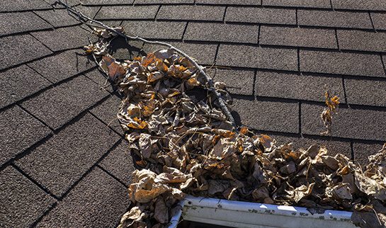 A gutter that is completely clogged with sticks and leaves