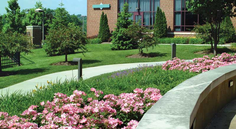 Beautifully maintained commercial landscape featuring lush green lawn, flowering plants, and clean edging