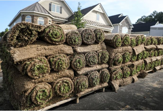 Soil preparation before a lawn renovation project