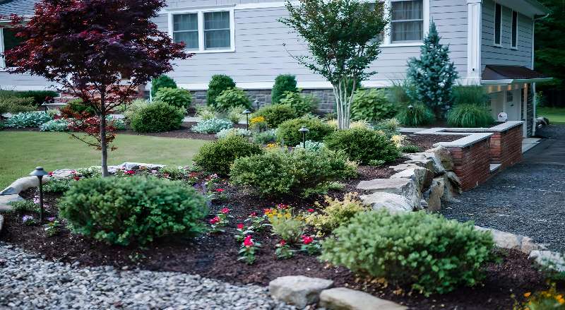 A home’s driveway is lined with native plants and shrubs as part of the landscape design