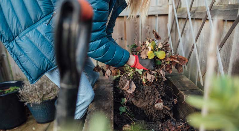 woman in blue jacket cleaning debris from garden bed