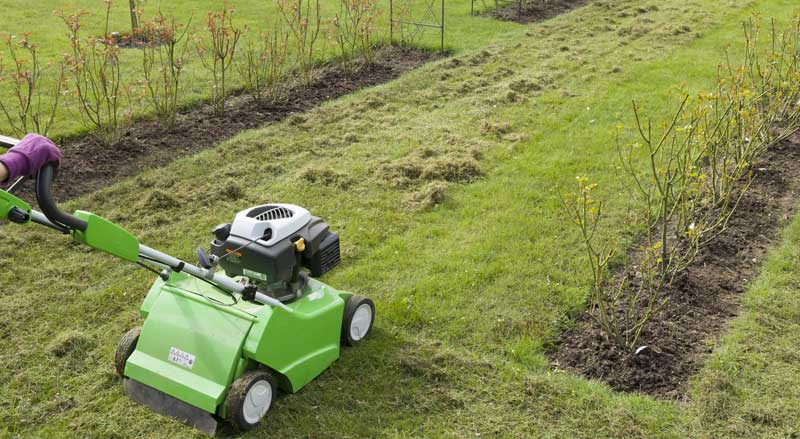 green aeration machine aerating green yard with surrounding garden beds