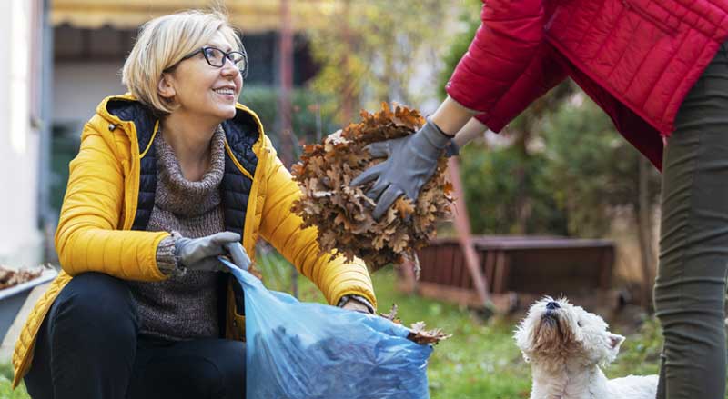 couple with dog cleaning leaves and debris from backyard in winter