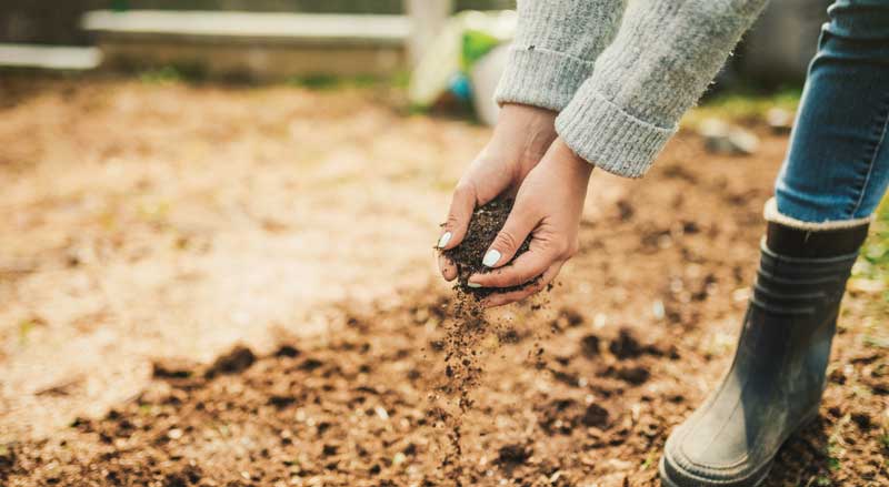 A woman in a grey sweater spreading soil in garden