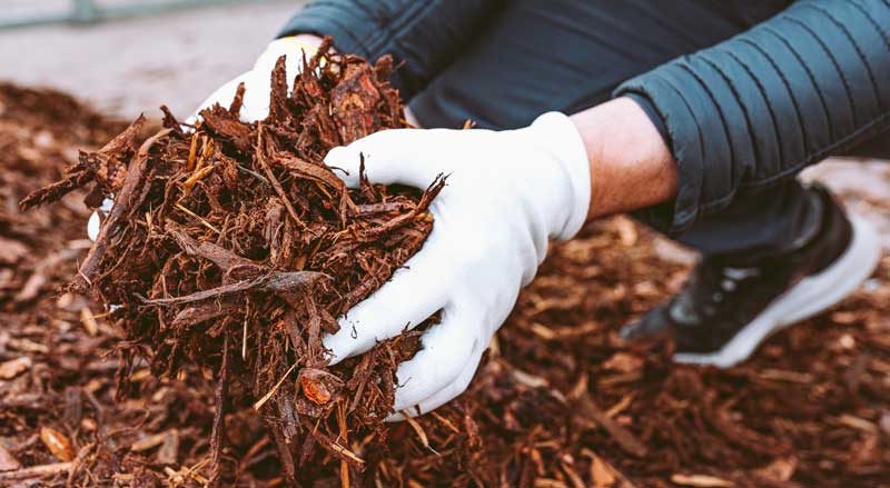 person with white garden gloves applying mulch to flower bed