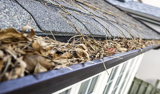 A clogged gutter filled with leaves and twigs in need of being cleaned