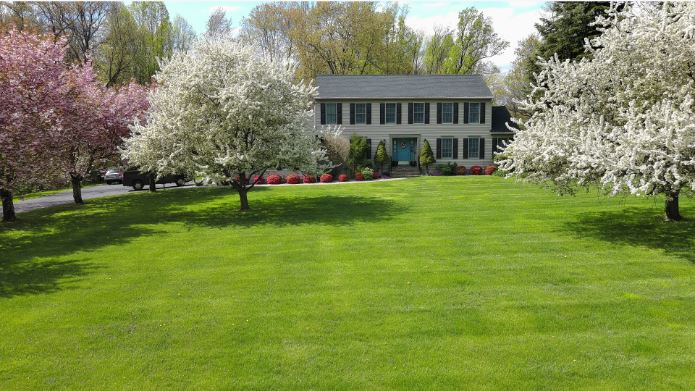 Late summer lawn renovation at a New Jersey home