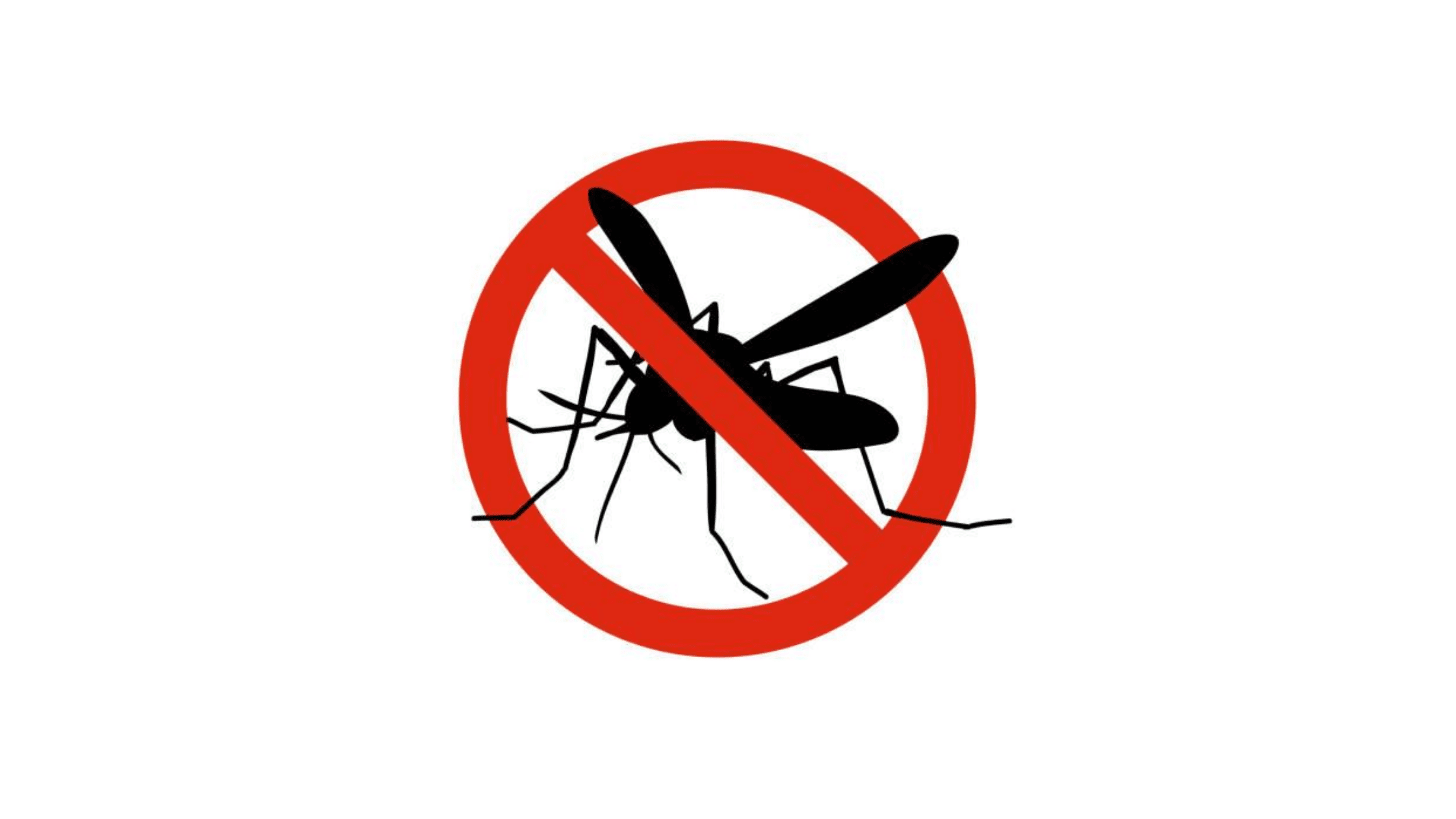 How-to-Treat-Your-Yard-for-Mosquitoes-and-Ticks - Landscape Solutions