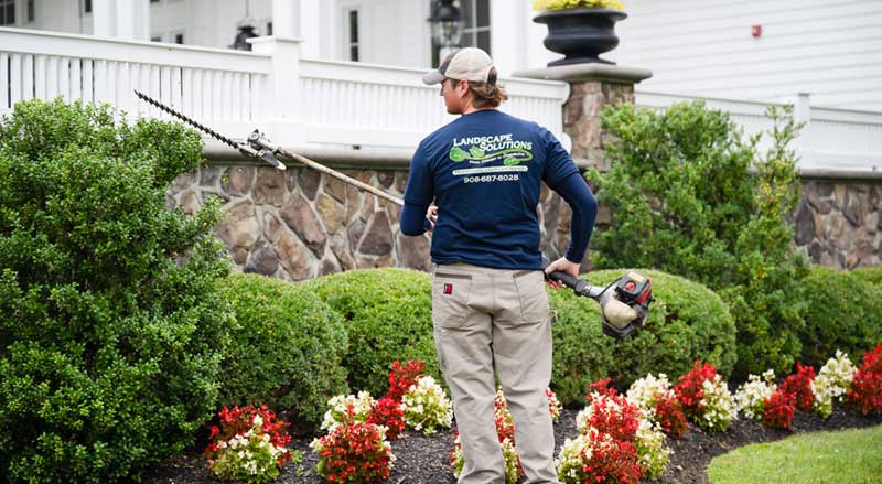 Landscape crew member trimming hedges of an HOA property with seasonal flowers and manicured shrubs