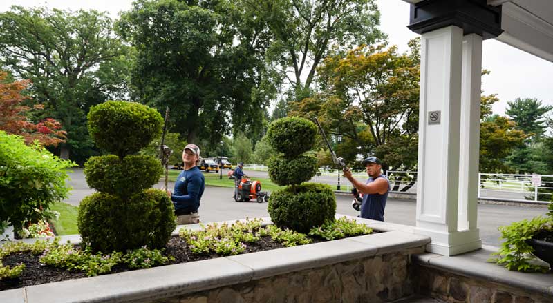 Two landscape professionals performing hedge trimming in a landscaped HOA entrance