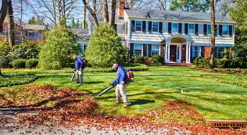 Landscape solutions workers are removing fallen leaves from a client’s yard as part of their fall cleanup service the business offers