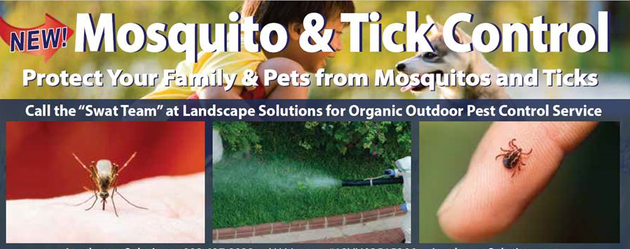 Protect Your Home from Mosquitoes and Ticks