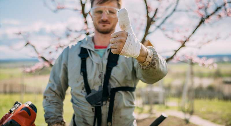 A landscaper holding up his bandaged thumb
