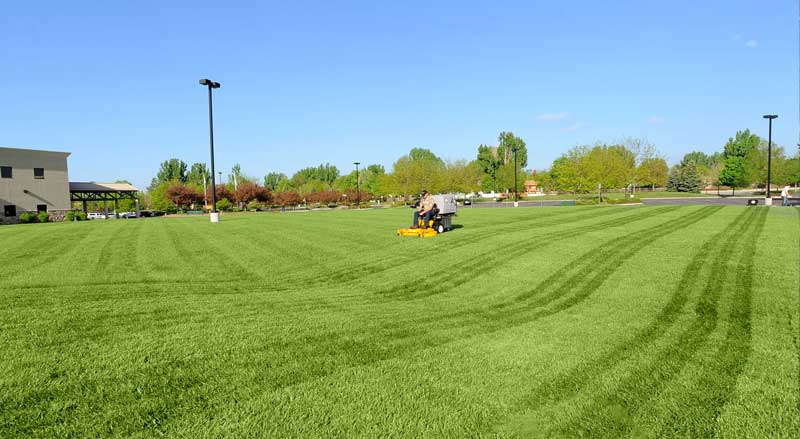 A landscaper mowing lawn on a commercial property
