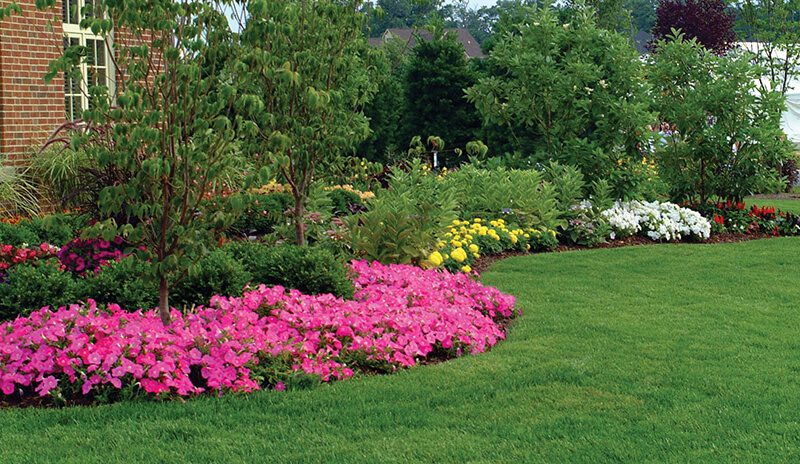 Manicured-Lawn-Garden - Landscape Solutions