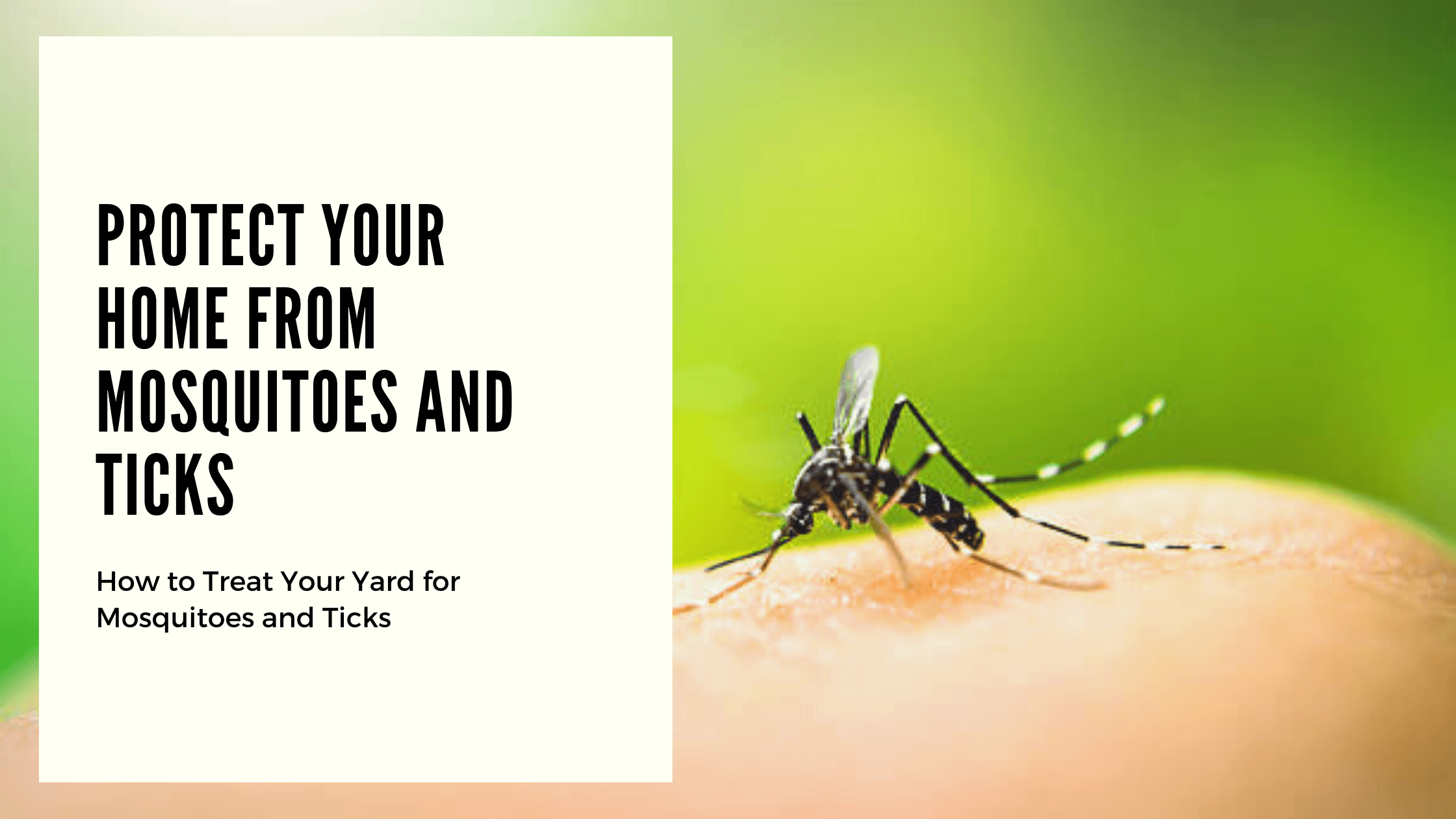Protect Your Home from Mosquitos and Ticks