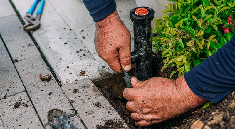 Close-up of a landscaper repairing an irrigation sprinkler head as part of comprehensive landscape maintenance and irrigation system care