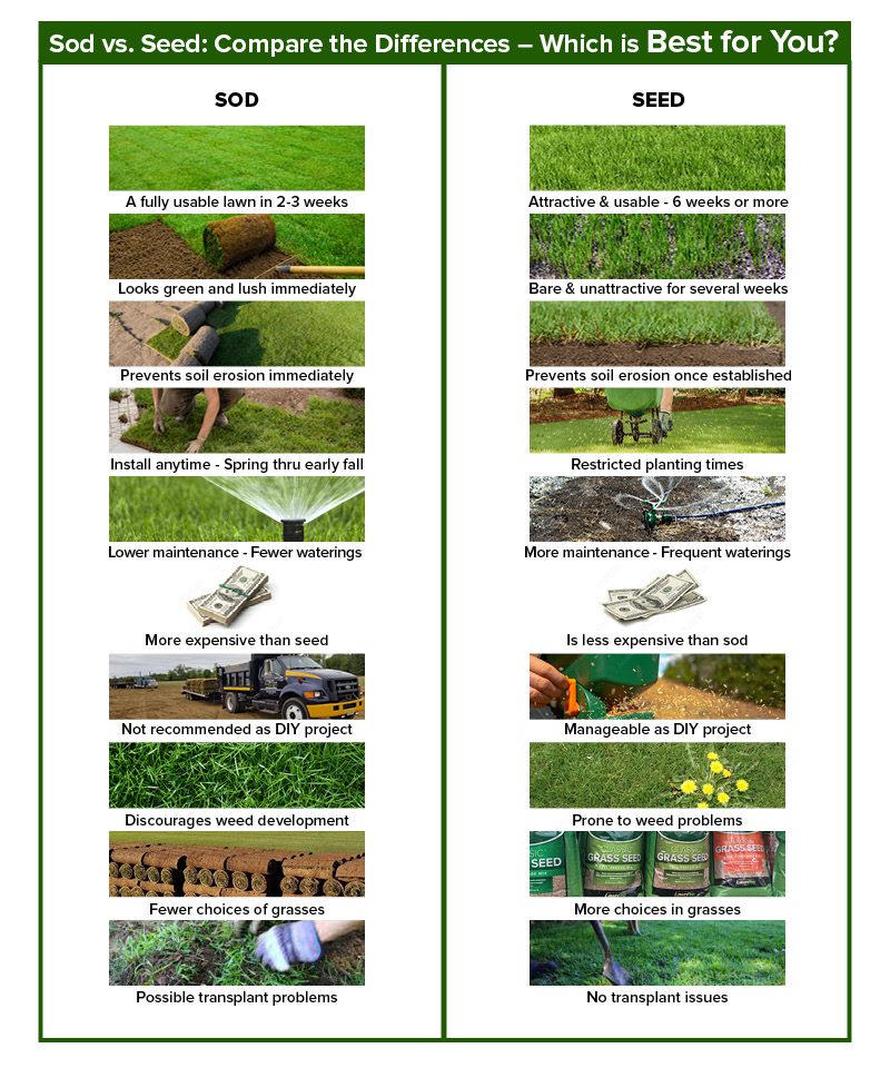 Comparison Chart for Sod vs. Seeding