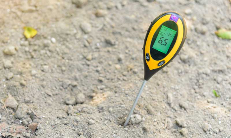pH meter in soil showing a 6.5 reading