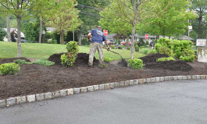 Landscaper doing spring cleanup and spreading new mulch in planting bed