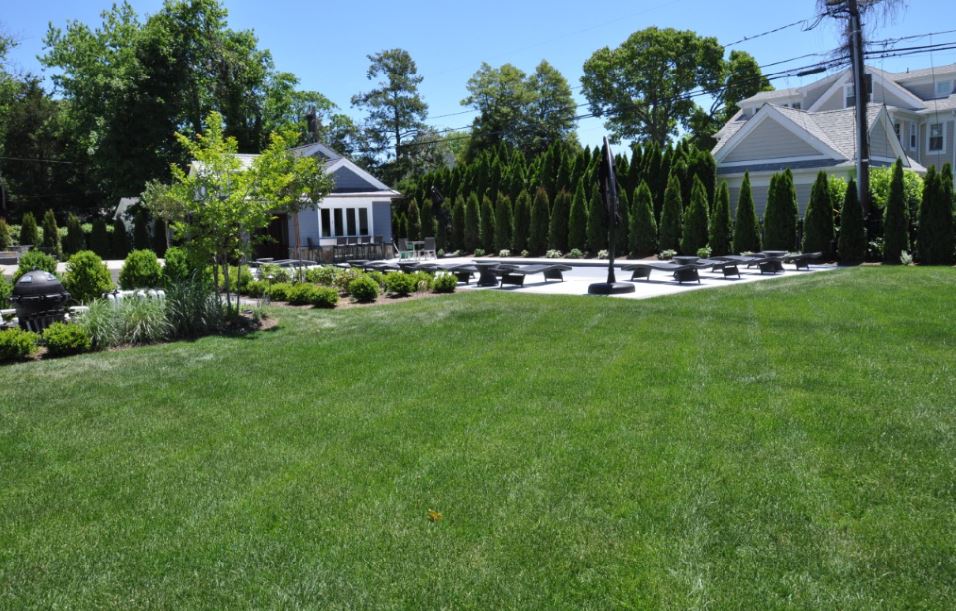 Professionally maintained residential landscape with lush green lawn, manicured planting beds, and outdoor living space in Union County, NJ