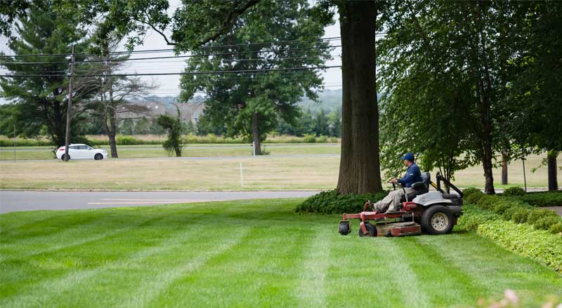 Landscape technician mowing a large, well-maintained lawn using a commercial riding mower as part of a full-service landscape maintenance program