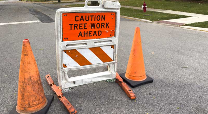 Roadside sign and cones warning of tree work ahead, highlighting permitted tree removal projects