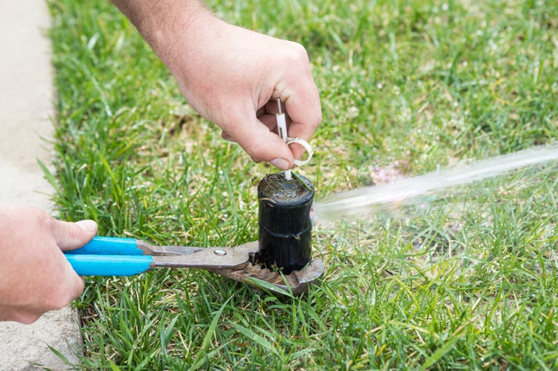 Adjusting Sprinkler Head