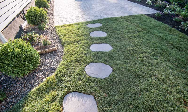 stepping-stone-path-in-backyard