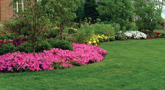 Lawn and garden that just had landscape maintenance work