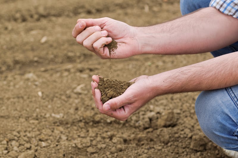 Testing the Soil