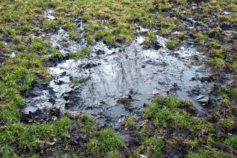 Water puddling on lawn due to drainage problems