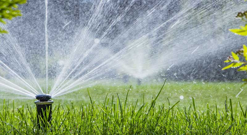 Lawn sprinkler system spraying water in broad daylight—common sign of overwatering during hot summer months