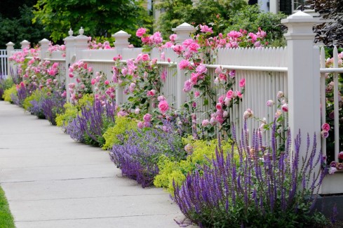 Stunning Landscape Design Along Fence