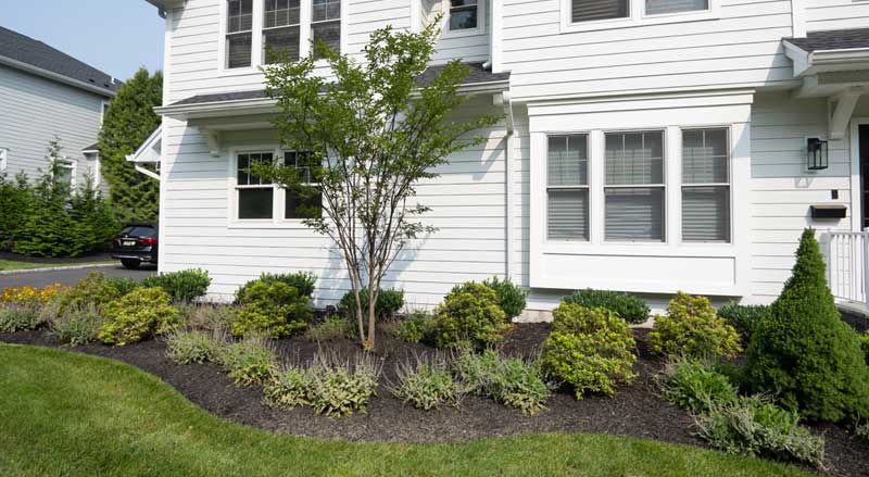 Neat front yard landscaping with shrubs, mulch, and a central tree enhancing curb appeal for New Jersey suburban homes.