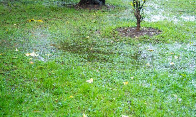 Correcting lawn drainage before installing new grass