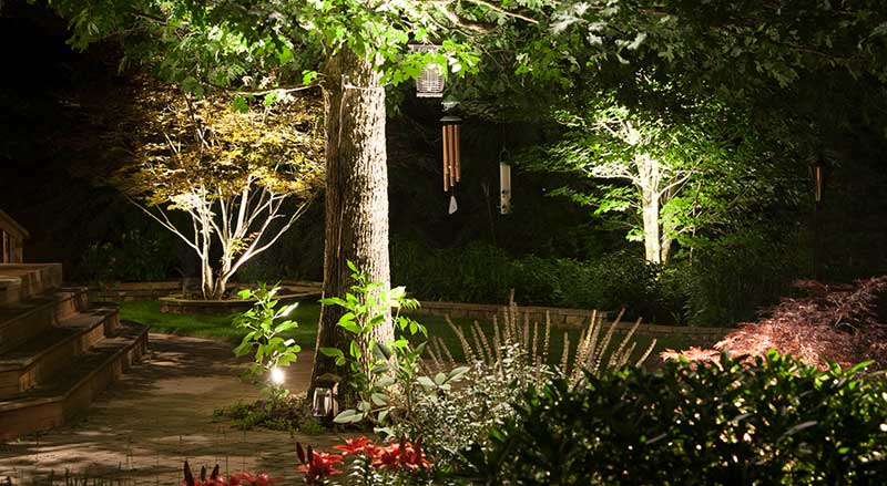 An enchanting garden at night filled with glowing lights nestled among tall trees