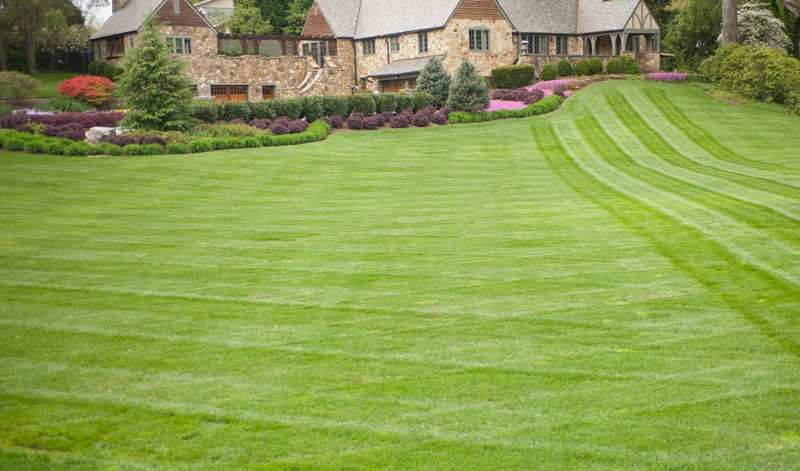 Beautiful lawn mowed in pattern