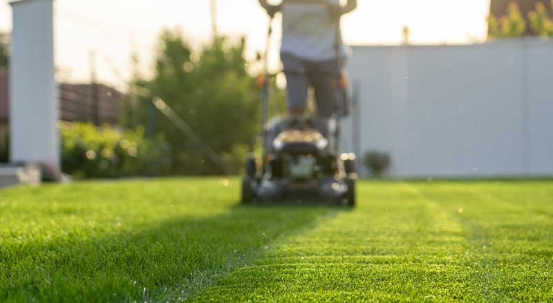 homeowner cutting green grass short with lawn mower