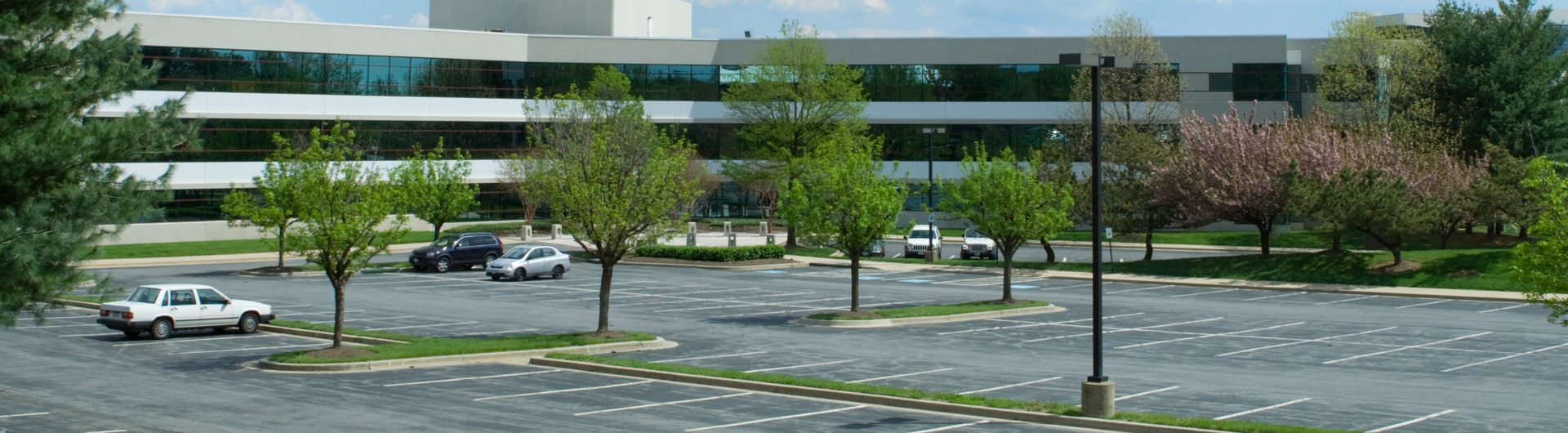 Commercial Parking Lot with Nice Landscaping