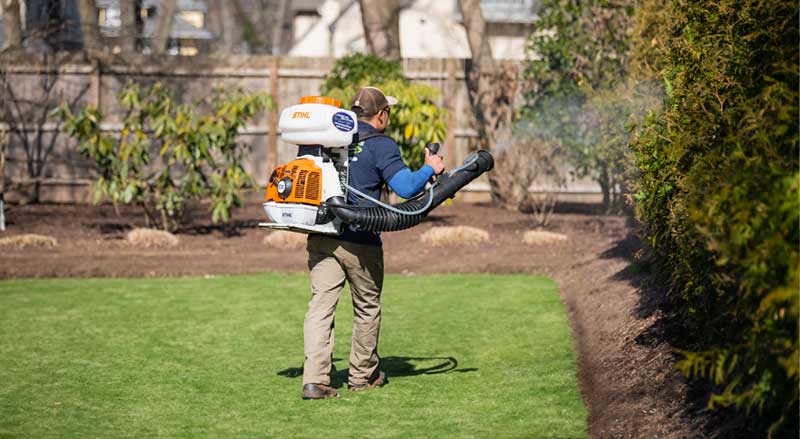 Professional landscaper applying pesticide along a hedgerow line
