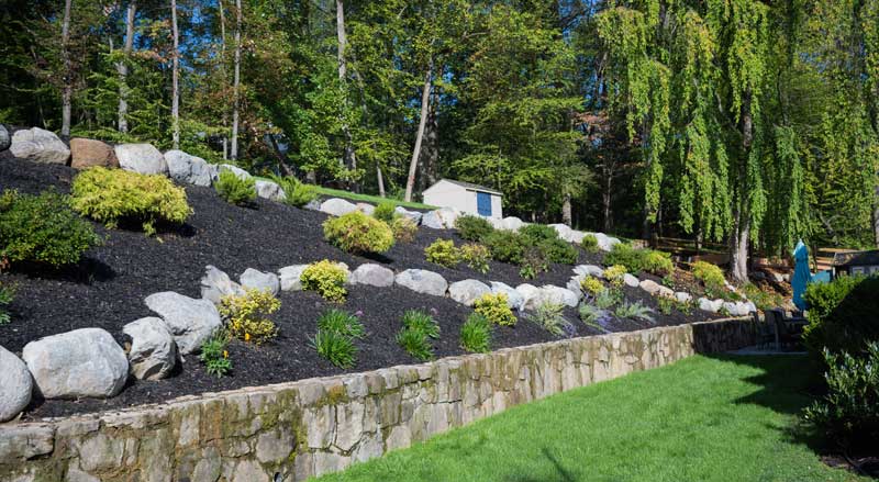 Sloped backyard with tiered planting beds for proper grading and plant selection.